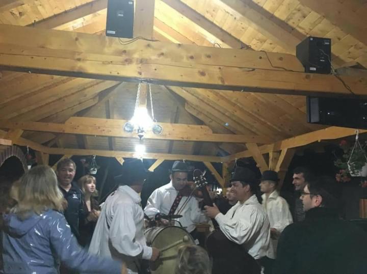 Pensiunea Malinul Bîrsana Exteriör bild