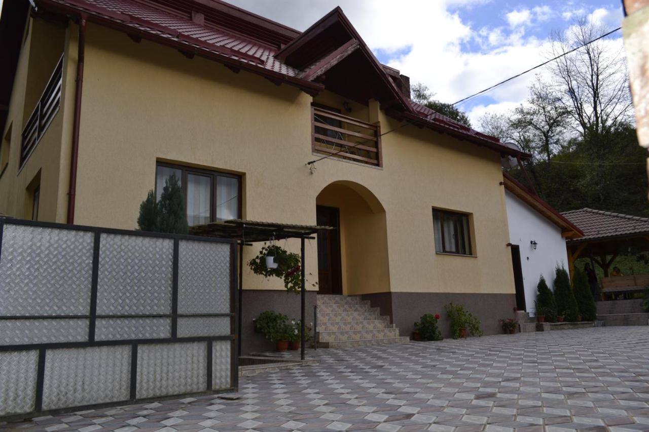Pensiunea Malinul Bîrsana Exteriör bild