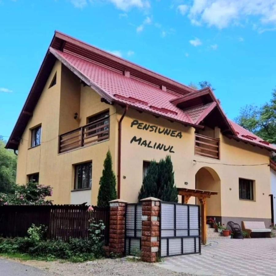 Pensiunea Malinul Bîrsana Exteriör bild