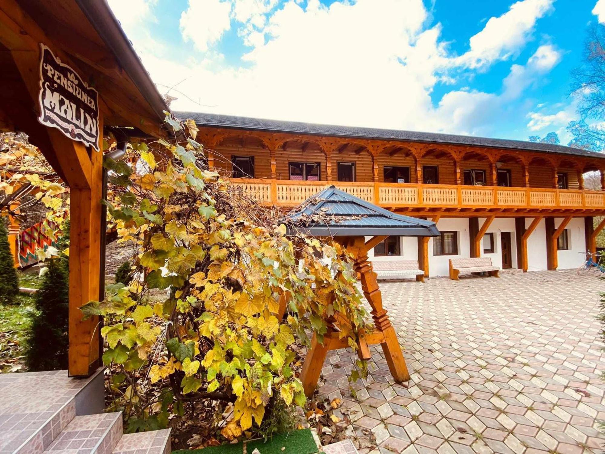 Pensiunea Malinul Bîrsana Exteriör bild