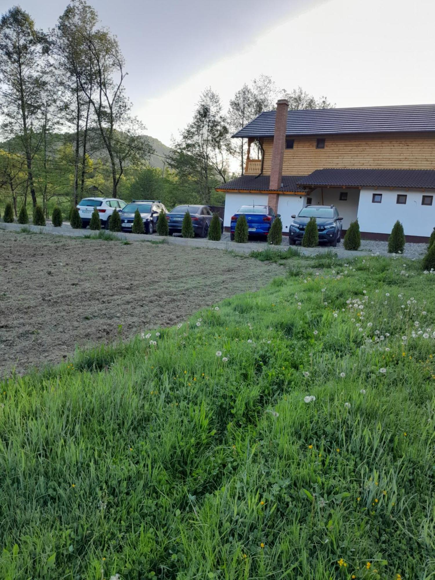 Pensiunea Malinul Bîrsana Exteriör bild