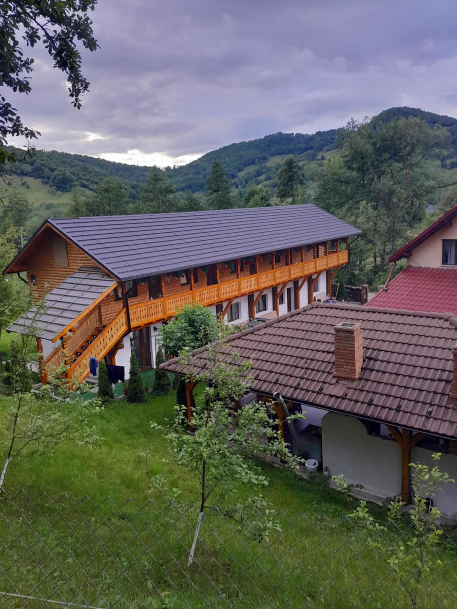 Pensiunea Malinul Bîrsana Exteriör bild